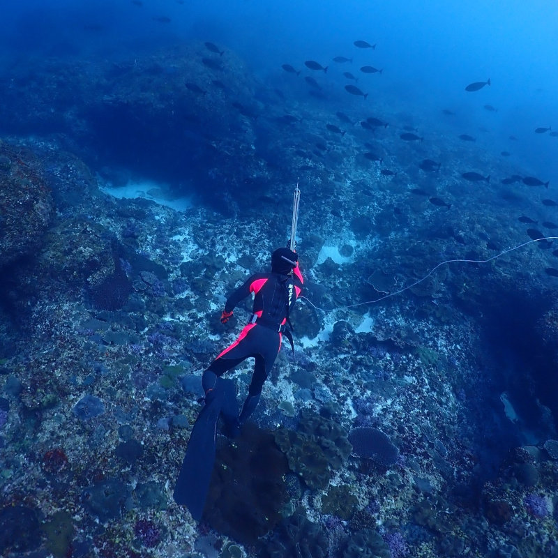 Hunting at 10 Meters below to catch some fish