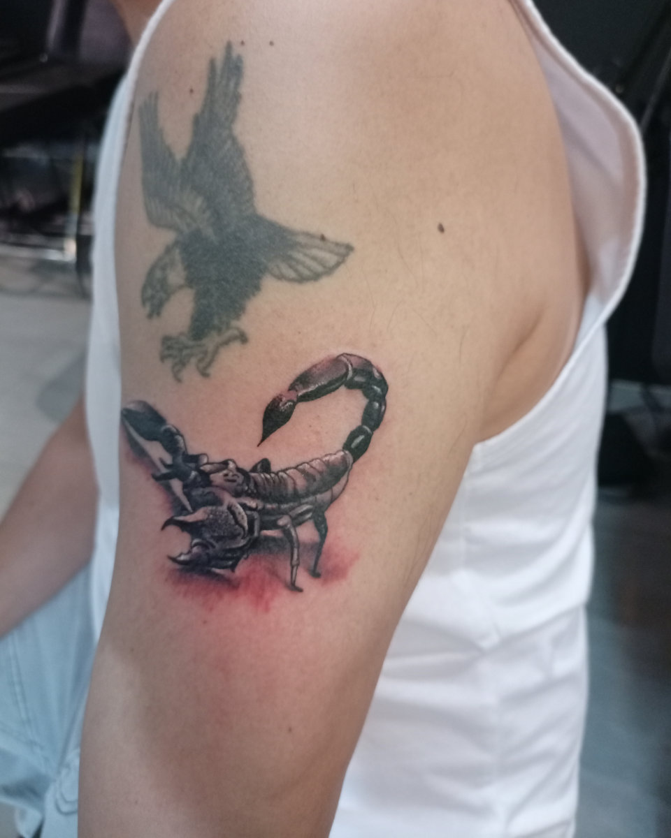 Anahata Ink Tattoo Kuta Bali - 3D Style Effect Scorpion Tattoo