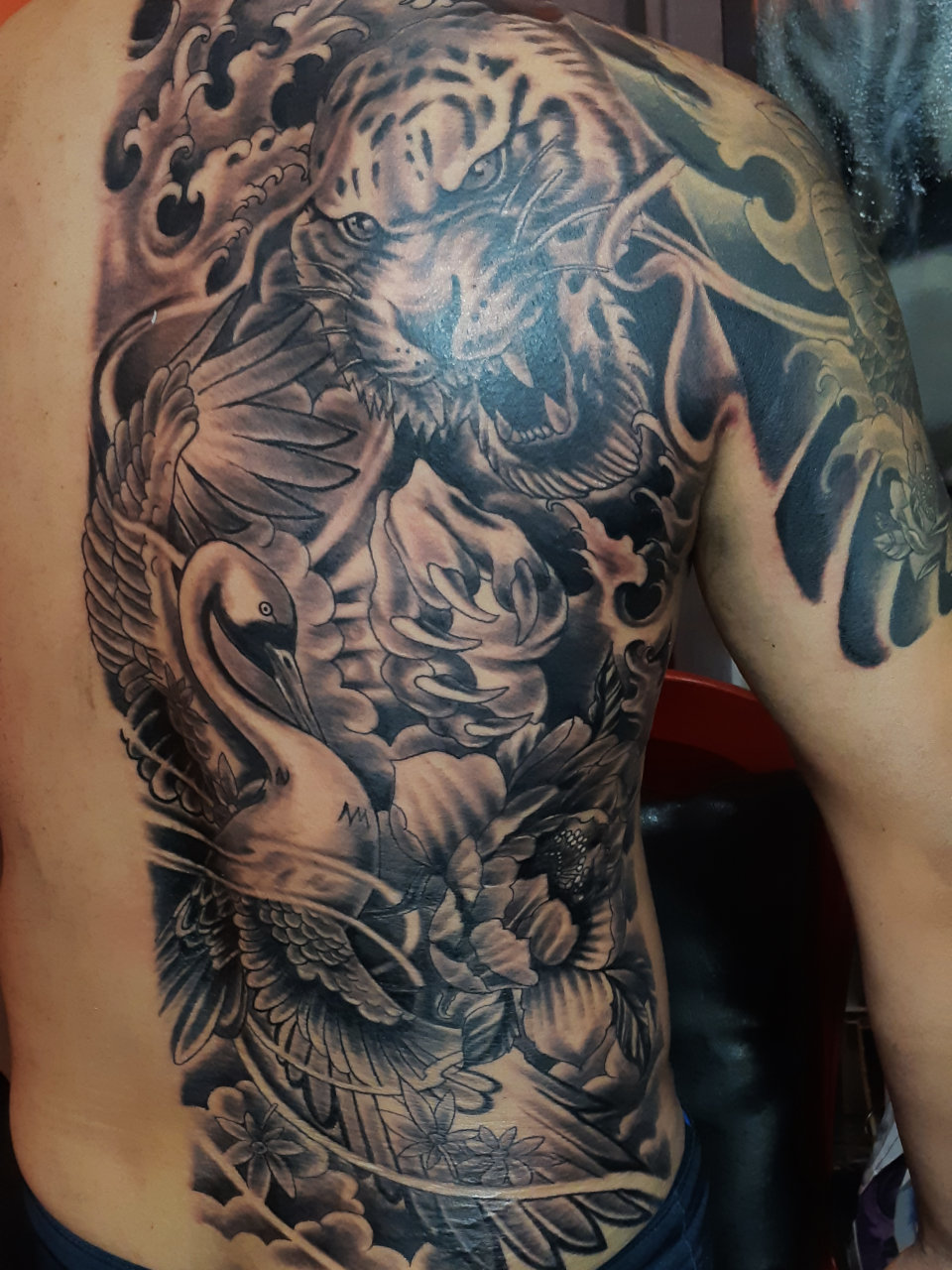 Layanan Full Tato Depan, Termasuk Area Dada dan Perut